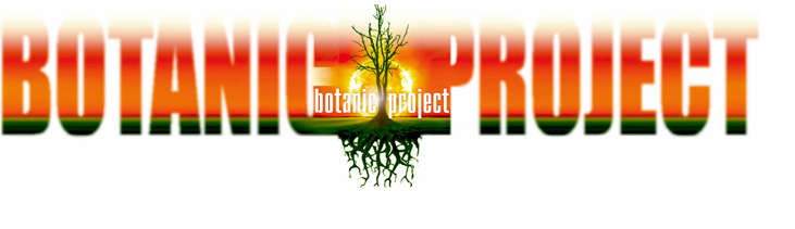 Фан-сайт группы Botanic Project